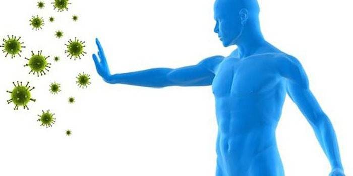 Homem e vírus