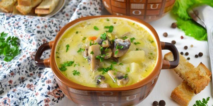 Queijo primeiro com champignon e frango