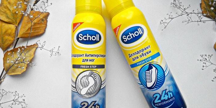 Scholl na buty i nogi