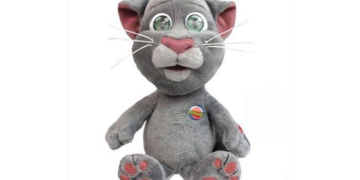 Dragão-eu, gato Tom