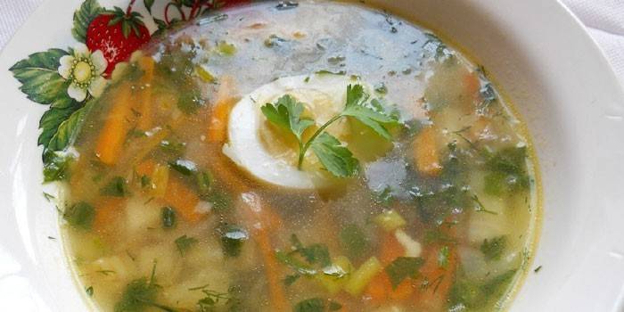 Sopa de caldo de pollo con apio
