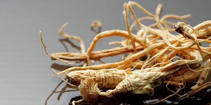 Raiz de ginseng