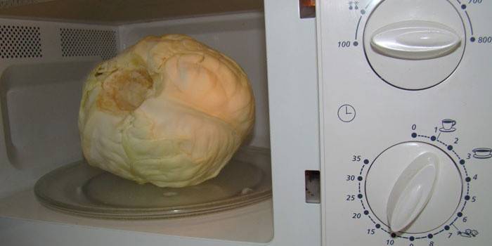 Cabeza de repollo en el microondas