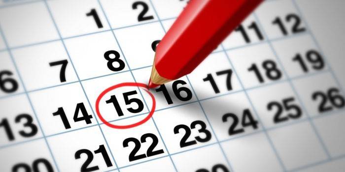 Calendario y lápiz