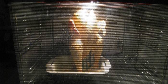 Horno Botella Pollo