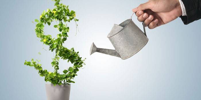 Um, homem, aguando, um, planta