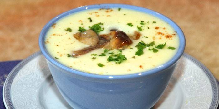 Creme de cogumelo selvagem