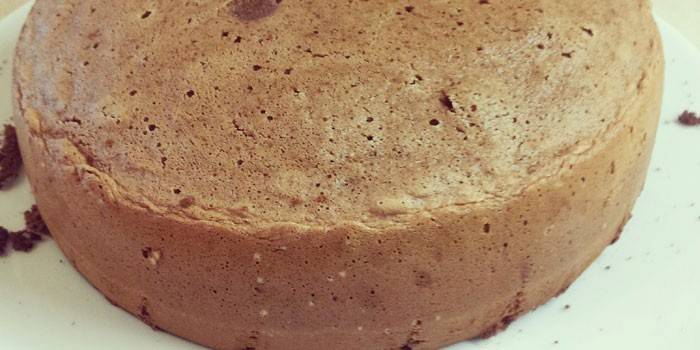 Bolo de esponja de creme azedo pronto com cacau