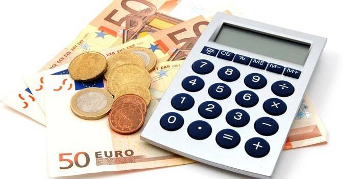 Euro a kalkulačka