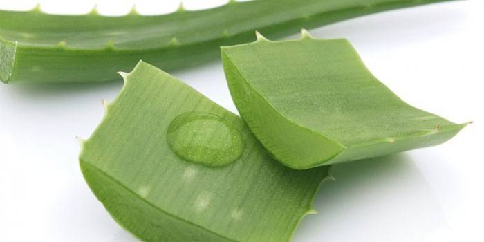 Rodajas de hoja de aloe