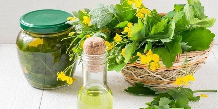 Tintura de álcool de celandine
