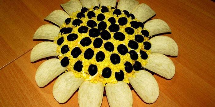 Girasol con setas