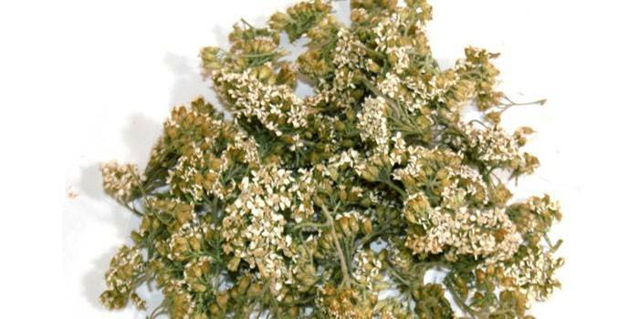 Flores de milenrama