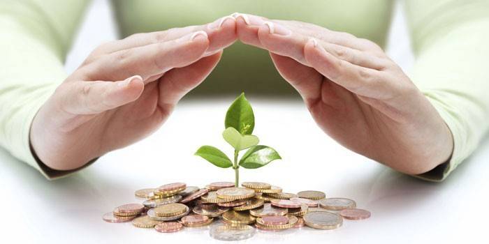 Moedas e planta