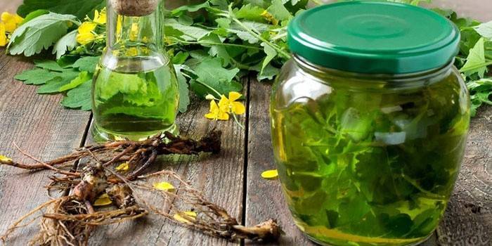 Infusión de celidonia en frascos, raíces y tallos de plantas.