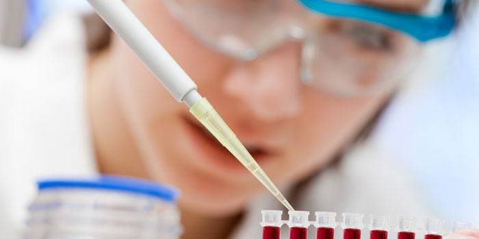 Técnico de laboratório, fazendo um exame de sangue