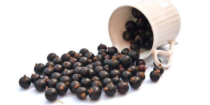 Grosellas en una taza