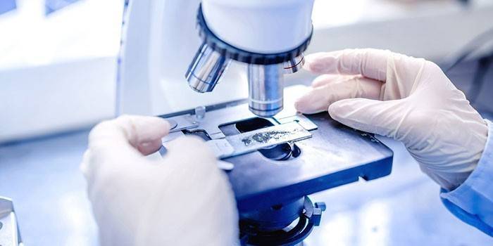 Exame microscópico
