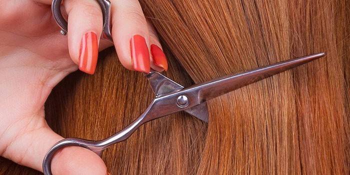 Pelo y tijeras