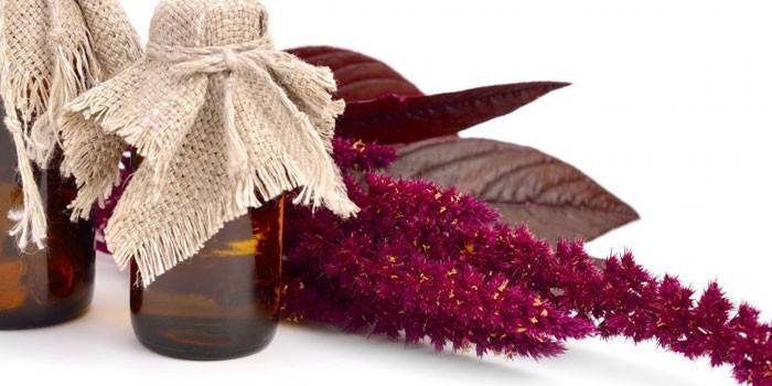 Aceite de amaranto embotellado y flores de amaranto