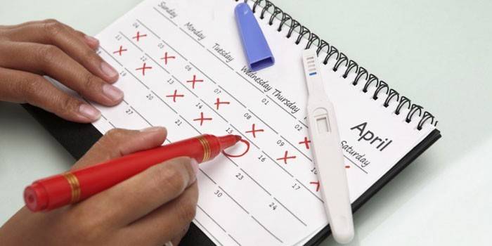 Calendário e teste de gravidez