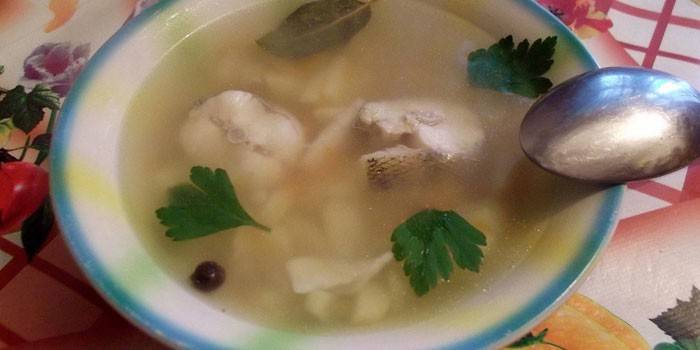 Sopa de pescado lucioperca en un plato