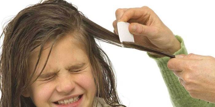 Menina, penteando, dela, cabelo