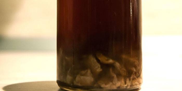 Garrafa com tintura de raiz de ouro na vodka