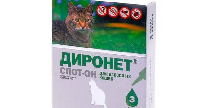 Droga Dironet
