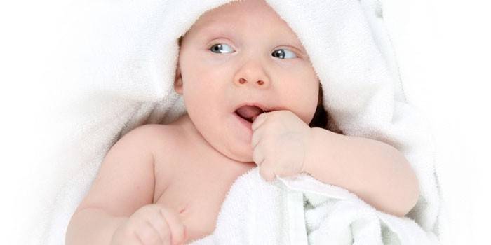 Bebê