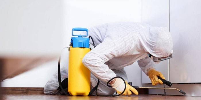 Desinfector de servicios especiales