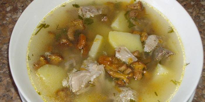 Sopa Chanterelle