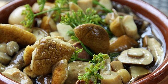 Ceps z koperkiem