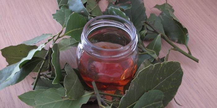 Tintura de laurel en un frasco