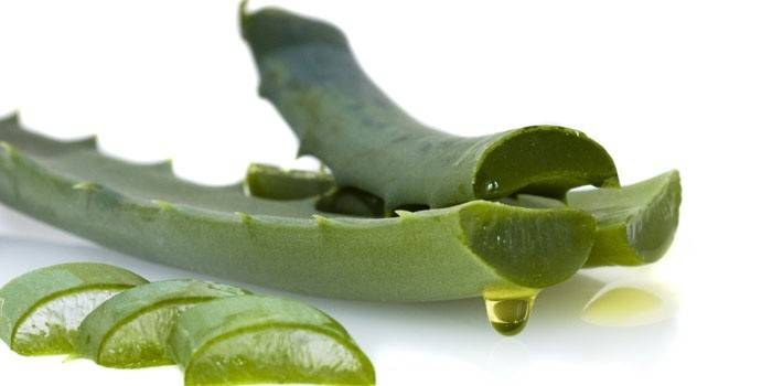 Aloes dla wzmocnienia odporności