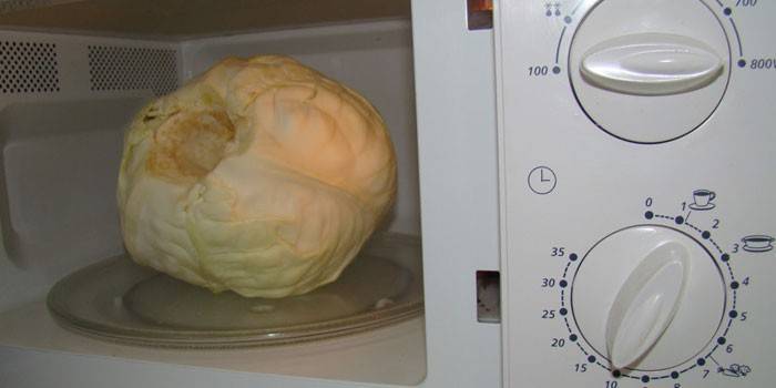 Kapusta Mikrofalowa