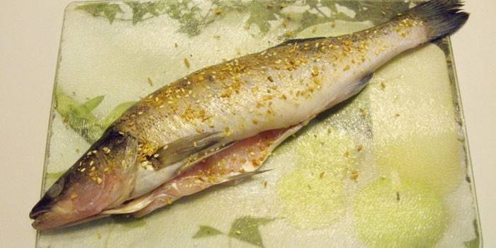 Spice esfregou poleiro