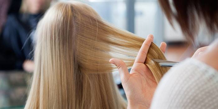 Estilista corta o cabelo da menina