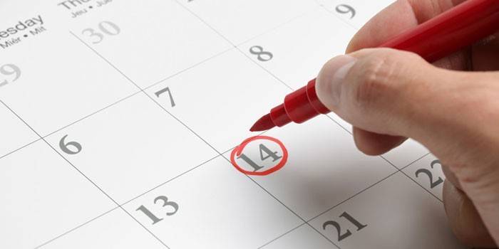 Calendário