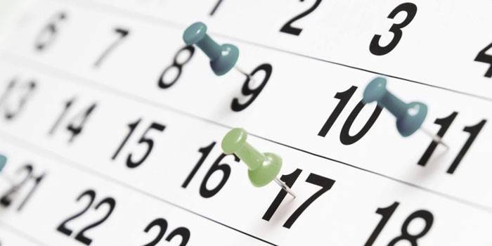 Calendário