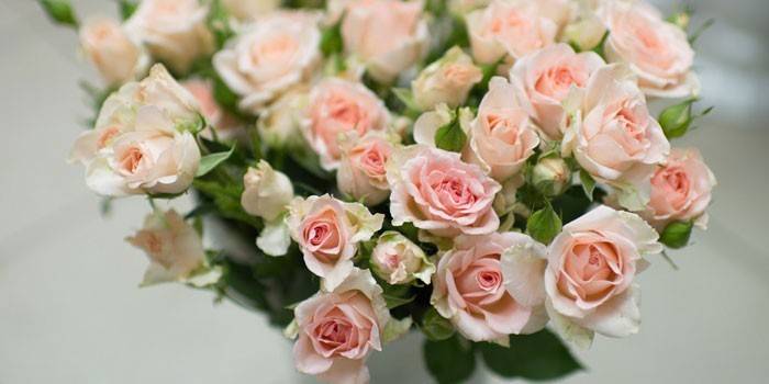 Rosas rosadas