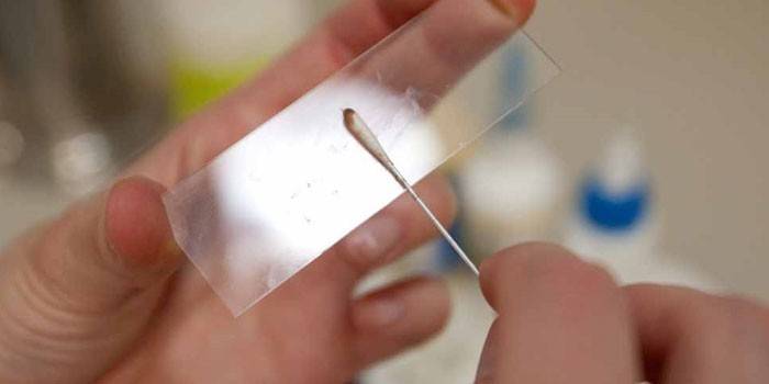 Vidro de laboratório e raspando em uma vara