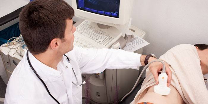 El médico realiza una ecografía de los riñones.