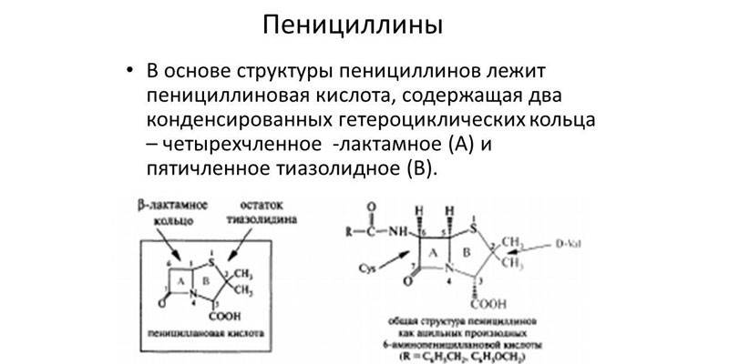 Penicyliny