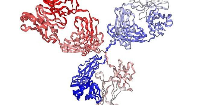 Esquema da estrutura de anticorpos monoclonais