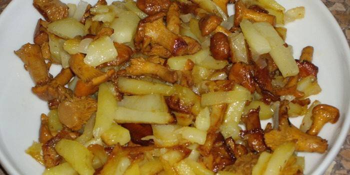 Chanterelle Chips