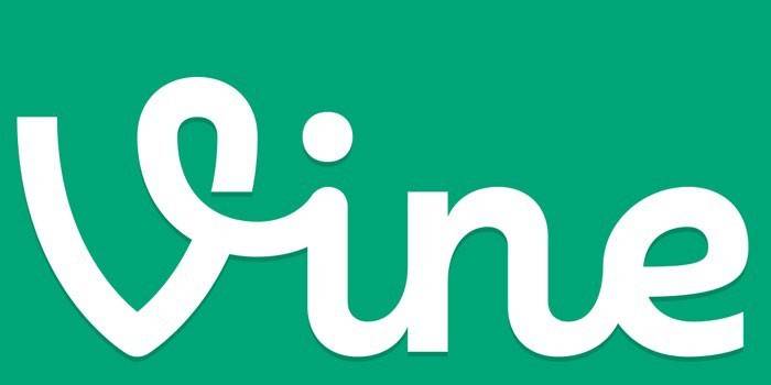 Logotipo de la vid