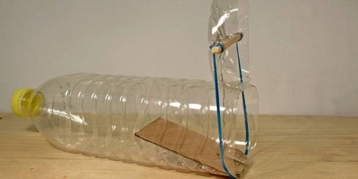 Ratonera botella de plástico