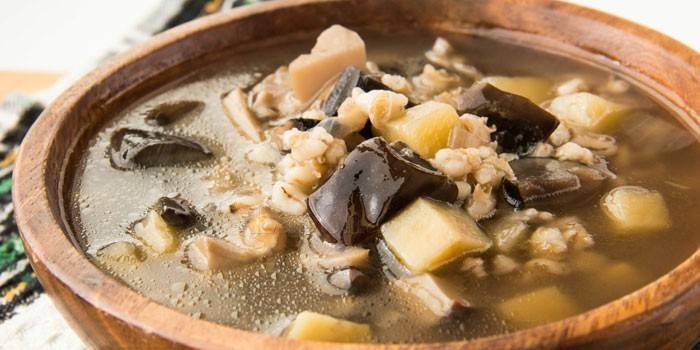 Sopa de cogumelos com carne de porco e cevada