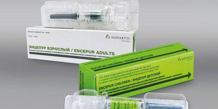 Szczepionka Encepur dla dorosłych i dzieci w opakowaniach